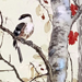 Buzan Kimura Gallery